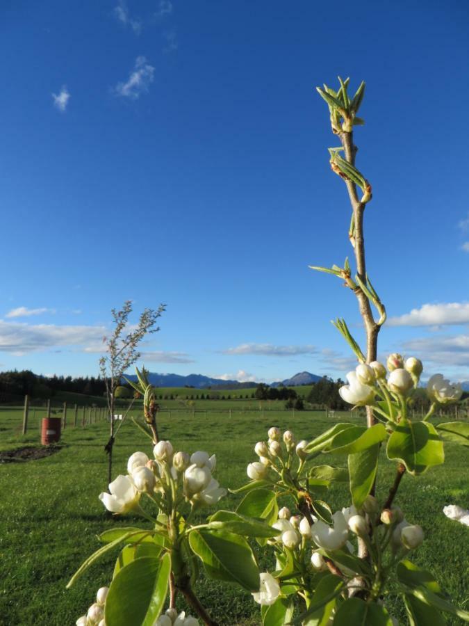 Quiet studio in Paradise Wanaka Buitenkant foto